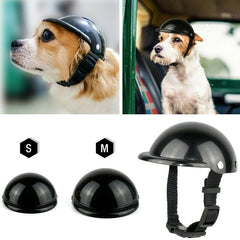 Stylish Helmets and Costumes for Pet Safety