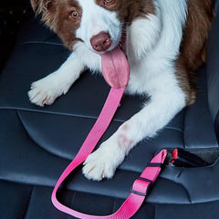 Adjustable Pet Car Seat Belt for Dogs and Cats