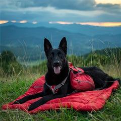 Waterproof Portable Pet Bed for Dogs and Cats - Travel, Camping, Hiking