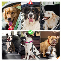 2pcs Dog Seat Belt Elastic Bungee Buffer Adjustable Car Seat Belt