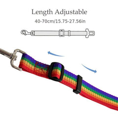 Retractable Pet Seat Belt for Car Rear Seat Safety