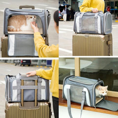Collapsible Pet Carrier with Escape Proof Zipper for Small Pets