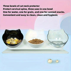 3-in-1 Elevated Pet Feeding Bowls for Dog & Cat with Stand