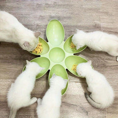Petal Shaped Plastic Cat Bowl 6 Meal Feeder
