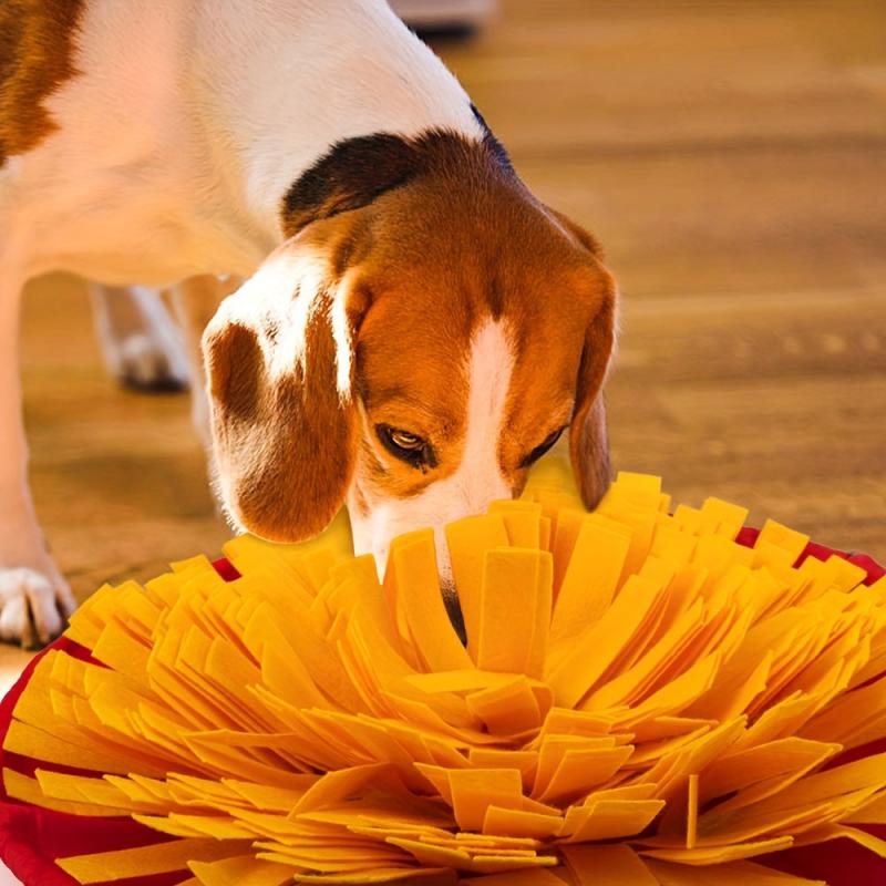 Dog Snuffle Mat Slow Feeding Game for Natural Foraging Skills