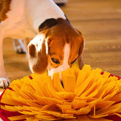 Dog Snuffle Mat Slow Feeding Game for Natural Foraging Skills