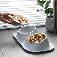 Stainless Steel Double Pet Bowls - Food & Water Set for Dog or Cat