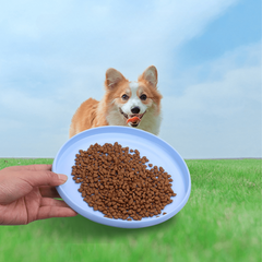 Dog Flying Disc Interactive Training Toy Floating Water Soft Disc