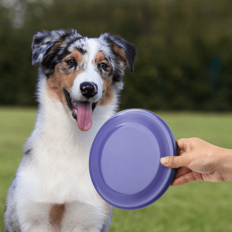 Dog Flying Disc Interactive Training Toy Floating Water Soft Disc