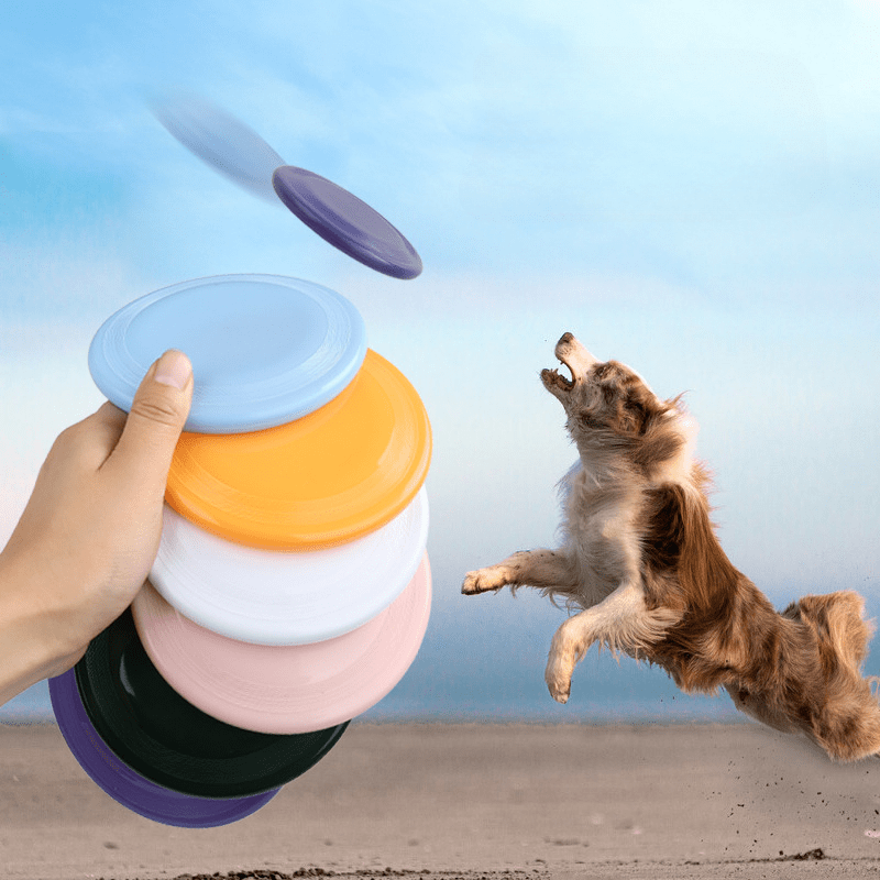 Dog Flying Disc Interactive Training Toy Floating Water Soft Disc