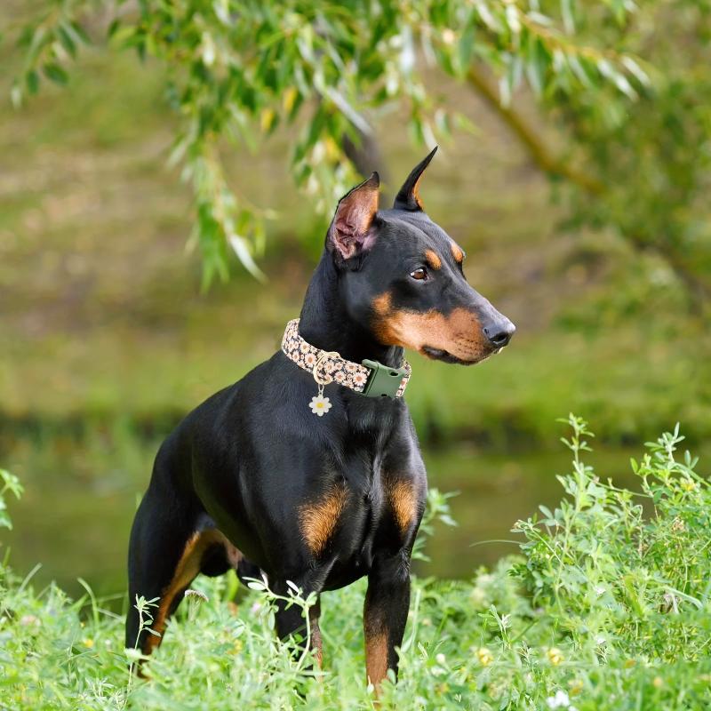 Daisy Flower Pattern Dog Collar Soft Adjustable For Dogs
