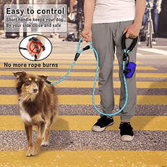 Reflective Heavy Duty Dog Leash with Two Handles