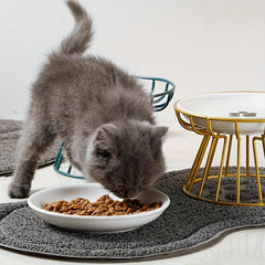 Ceramic Cat Dish Bowl Elevated Feeder with Iron Stand