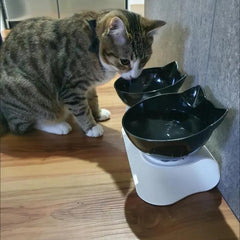 Raised Double Bowls for Dogs with Non-slip Stand