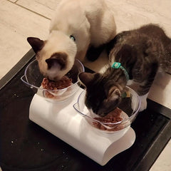 Raised Double Bowls for Dogs with Non-slip Stand
