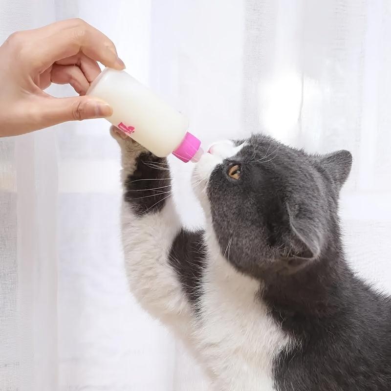 Pet Nursing Bottle Kit for Kitten Puppy Feeding