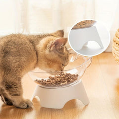 Elevated Pet Inclined Food Bowl Water Bowl for Cervical Spine Protection