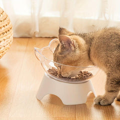 Elevated Pet Inclined Food Bowl Water Bowl for Cervical Spine Protection