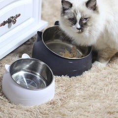 Stainless Steel Non Slip Pet Bowls - Perfect for Food & Water
