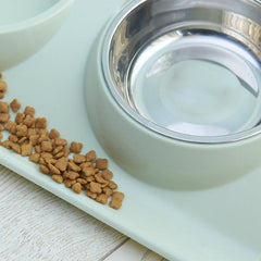 Non Slip Double Pet Bowl for Dogs and Cats Anti Splash Feeder