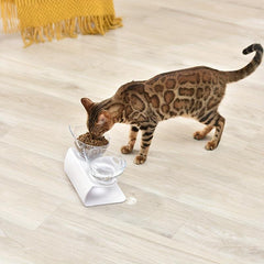 Raised Double Pet Food Bowl Cervical Spine Protection