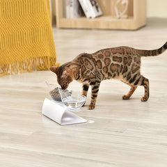 Raised Double Pet Food Bowl Cervical Spine Protection