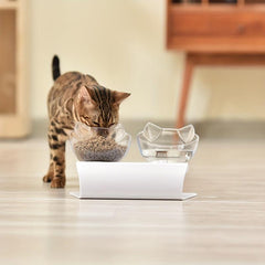 Raised Double Pet Food Bowl Cervical Spine Protection