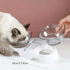Raised Double Pet Food Bowl Cervical Spine Protection