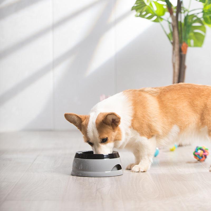 Portable Dog Water Bowl No Spill Travel Dispenser