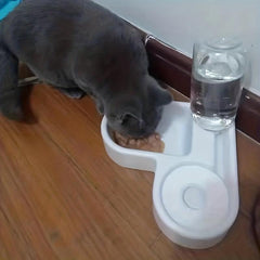 Automatic Dog Water Dispenser Food Feeder Bowl 2 In 1 Anti Overturning