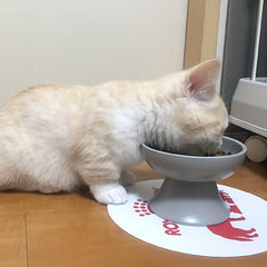 Elevated Ceramic Cat Bowl Inclined Food Water Neck Protection Indoor Cats