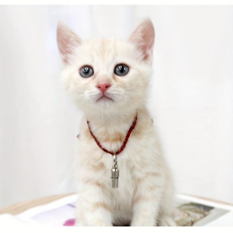 Personalized Pet ID Tag Anti Lost Barrel Tube Collar