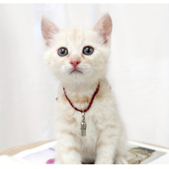 Personalized Pet ID Tag Anti Lost Barrel Tube Collar