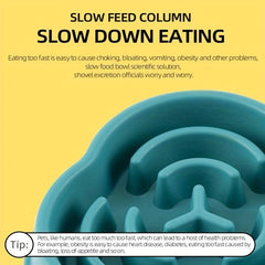 Pet Slow Feeder Bowl For Dog & Cat Non Slip Slow Eating Dog Bowl