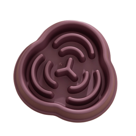 Pet Slow Feeder Bowl For Dog & Cat Non Slip Slow Eating Dog Bowl