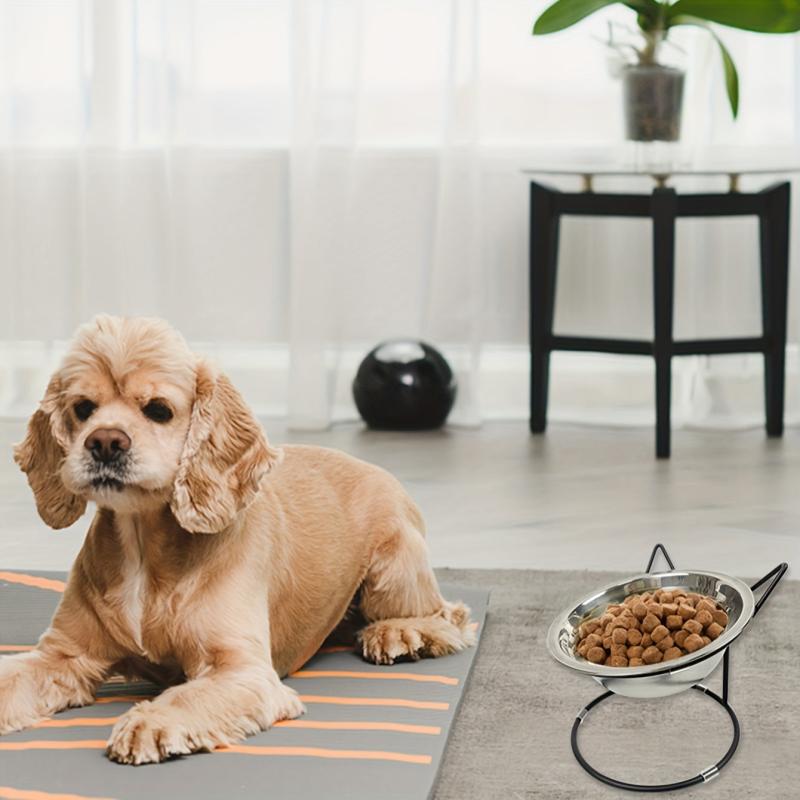 Stainless Steel Elevated Cat Bowls with Metal Stand