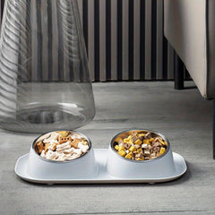 Elevated Double Pet Bowls with No Spill Mat