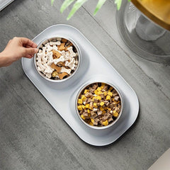 Elevated Double Pet Bowls with No Spill Mat