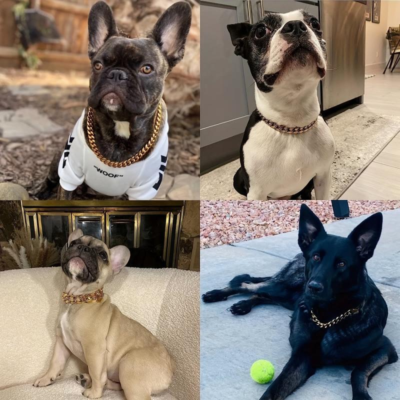 Stainless Steel Dog Collar Safety Lock Chain Collar for Small Medium Large Dogs