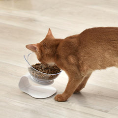 Elevated Cat Bowl Raised Cat Inclined Food Bowl Water Bowl With Stand