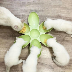 Creative Petal Shaped Plastic Cat Bowl Cat Food Water Dishes
