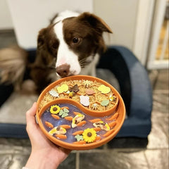 Slow Fed Dog Bowl Silicone Licking Pad Suction Cup Puzzle Feeding Anti Choking