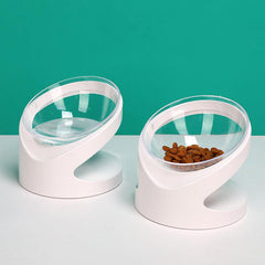 Elevated Transparent Cat Food Bowl with Slanted Stand for Healthy Eating