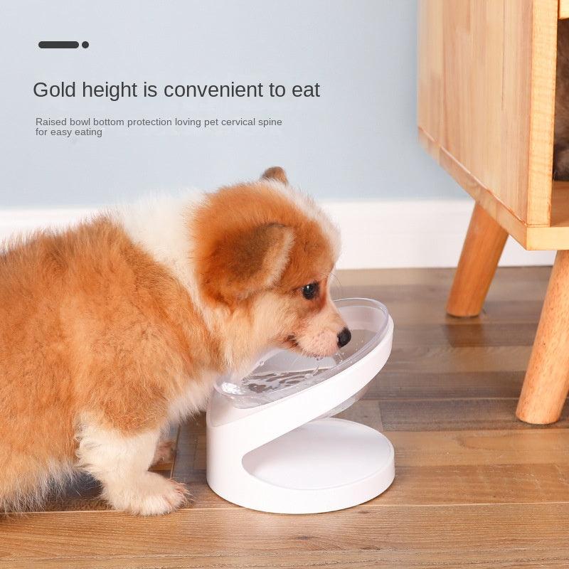Elevated Transparent Cat Food Bowl with Slanted Stand for Healthy Eating