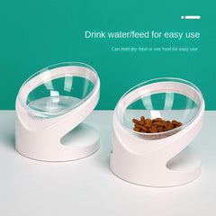 Elevated Transparent Cat Food Bowl with Slanted Stand for Healthy Eating