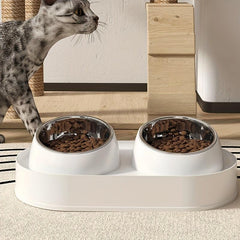 Non-Mess Ceramic Pet Bowl for Dogs and Cats
