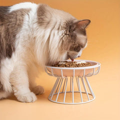 2pcs Cat Bowl Ceramic Raised Food Water Dish Bowl With Iron Stand