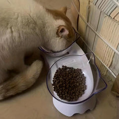 Transparent Cat Ear Shaped Pet Bowl Raised Neck Protector
