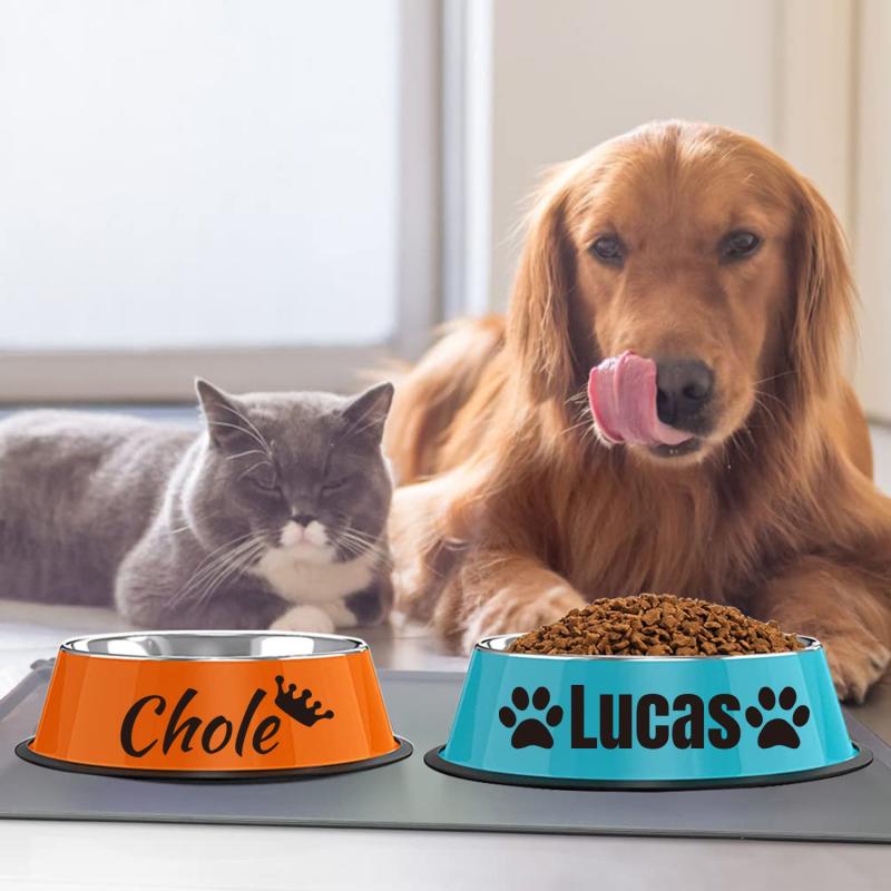 Custom Name Non Slip Stainless Steel Pet Bowl