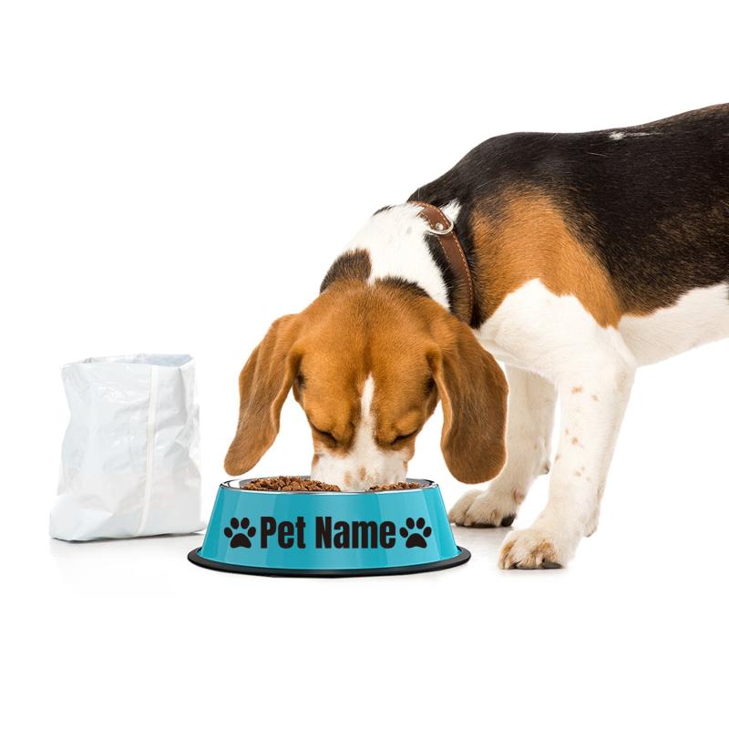 Custom Name Non Slip Stainless Steel Pet Bowl
